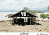 baringo