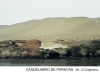 candelabro-de-paracas