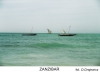 zanzibar-0586